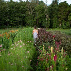 Meet your Posher, Lindsey